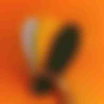 Ορθοπεδικοί πάτοι με σημεία μασάζ | STEPEASE