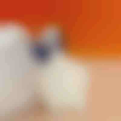 Μαξιλαράκι φτέρνας για μείωση του πόνου στη φτέρνα | STEPHEEL